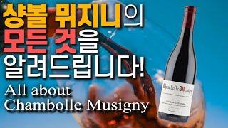 샹볼 뮈지니, 모든 걸 알려드리겠습니다!