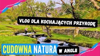 Epicka PRZYRODA w Anglii małym KAMPEREM - Yorkshire Dales