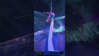 Would You Want to Fly Like This? #aerial #aerialist #fyp #silks #trick #climb