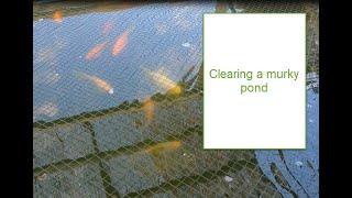 Clearing a Murky Pond .Removing small particles in the pond