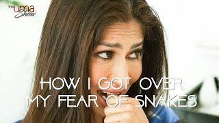 How I Got Over My Fear of Snakes