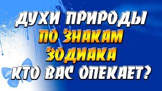 Духи природы по Знакам Зодиака: кто вас опекает?