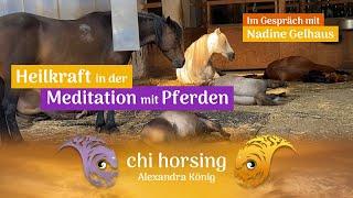 Das Pferd fühlt deinen Kohärenzzustand  - Heilkraft in der Meditation mit Pferden #horse