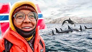 Nomad In Norway |Sailing The Arctic:My First Catamaran Adventure|247