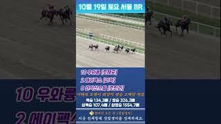 [서울] 10월 19일 토요 8경주 이태복 호랭이 최강자 전문위원 쌍승 고배당 적중