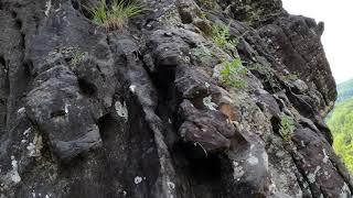 Climbing Multi-pitch on The Buffalo River, AR - Fish Butt (5.9) 2 Pitches