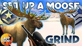 How to Set-Up a MOOSE GRIND in MedVed Taiga!!! - Call of the Wild