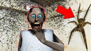 Granny vs Arachnophobia vs Spiders funny new moments