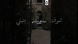 سلفيني عنيكي - ليل المحمدي ( شوفي نفسك من مكاني) Salfiny 3nikai lil elmohamdy