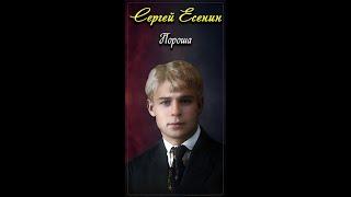 Пороша - Сергей Есенин (читает Расул Давлетов) #shorts