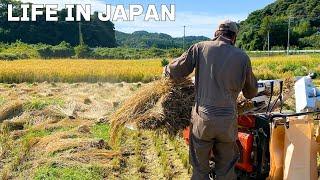 [Vlog] Daily life in Japan Feeling autumn while helping my father harvest rice.