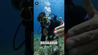 EMERGENCIA! Como respirar de un regulador en flujo continuo. #aprendeabucear #buceo #cozumel