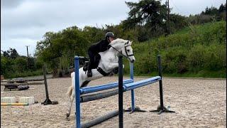 Velocity in Hooves: 143cms Jumping Powerhouse