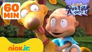 Rugrats Best Pet Rescues!  w/ Spike, Chuckie, Phil & Lil! | 1 Hour Compilation | Nick Jr.