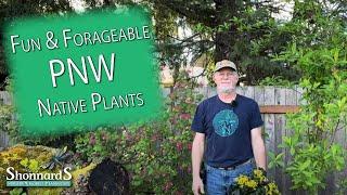 Edible PNW Native Plants for Your Garden