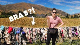 Quirky Road Trip Stops in NEW ZEALAND