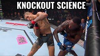 Israel Adesanya KNOCKOUT ANATOMY vs Alex Pereira at UFC 287