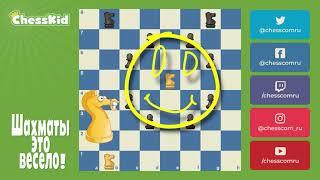  Шахматы для детей на ChessKid - Конь  Как научиться играть в шахматы
