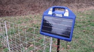 Premier One Electric Netting Fence and Charger Setup For Goats - 8K Volts!