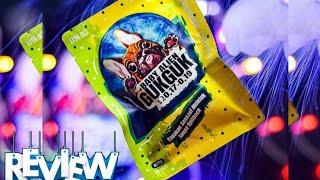 coil guk guk review