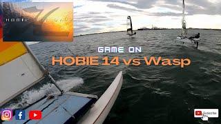 Hobie 14 vs Foiling Wasp sailing drag race - HOBIE CAT DAYS