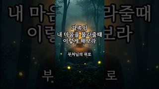 가족이 내 마음을 몰라줄때 이렇게 해보라｜마음이 힘들 때 듣는 위로 오디오북 #shorts