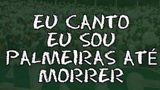 A Taça Libertadores Obsessão ● Letras ● Mancha alvi Verde