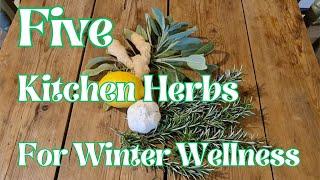 FIVE Kitchen Herbs for Winter Wellness