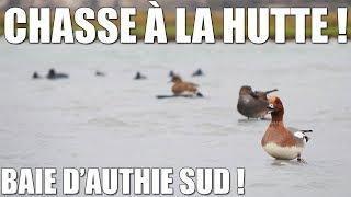 DUCK HUNTING IN THE AUTHIE BAY !