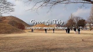 Gyeongju Trip | Hanok Guesthouse, Cheomseongdae, Daereungwon, Hwangridan-gil, Bulguksa, Jusangjeolli