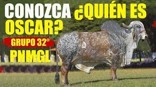 ¿QUIÉN ES OSCAR? TORO GYR LECHERO...