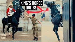 HORSE HAD ENOUGH & DOES THIS! | Horse Guards, Royal guard, Kings Guard, Horse, London, 2024