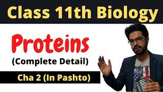 PROTEINS | FSC biology book 1 | Cha 2 in pashto | Home of biology