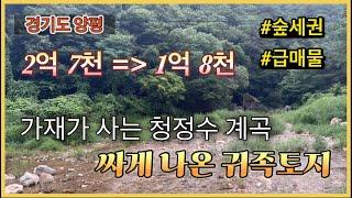 [평당 60만원] 퀄리티 보시는 분이라면 이 땅 삽니다. 청정수 계곡과 뒷산이 붙어있는 귀족토지, 숲세권 양평토지