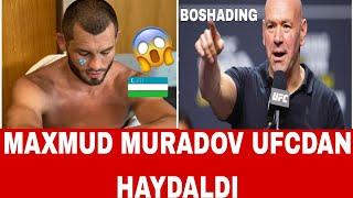 DAXSHAT: MAHMUD MURADOV UFCDAN HAYDALDI  #daxshatmma #bugunsport #olamsport #vodiymma #mma #ufc