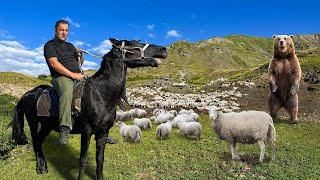 One Incredible Day Of An Azerbaijani Shepherd In The Mountains! Find Out This Wonderful Feeling