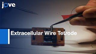 Extracellular Wire Tetrode Reordings in Brain | Protocol Preview