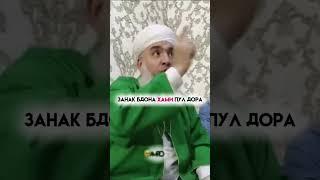 #rek #duet #qashqirlarmakonipistirma #nature #shayxrahmatullohtermiziy #озоди #sabr #хакида #love #