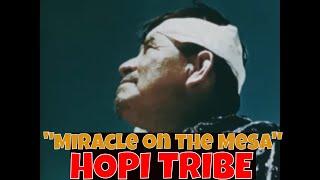 " MIRACLE ON THE MESA "  1954 HISTORY OF THE HOPI PEOPLE   NATIVE AMERICAN / INDIAN TRIBE    76024