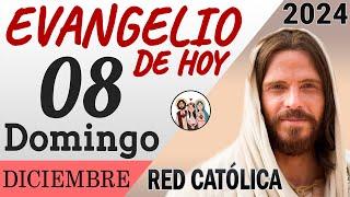 Evangelio de Hoy Domingo 08 de Diciembre de 2024 | REFLEXIÓN | Red Catolica