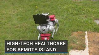 Robot dogs among new technology being used with aim of improving island healthcare