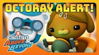 Octonauts: Above & Beyond -  INVADERS Takeover the Octoray ️ | Compilation | @Octonauts​