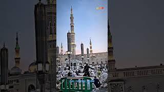 Al-Hateem Haj Umrah Tours & Travels / 9702806479