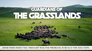 Guardians of the Grasslands