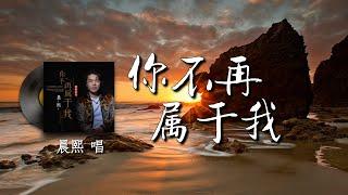 你不再属于我 - 晨熙『我以为我们相识恨晚 我以为我们彼此投缘 我以为我能把他替代 我以为彼此找到了真爱 为什么总是一次次心碎 为什么总是如此狼狈』【動態歌詞/Pinyin Lyrics】