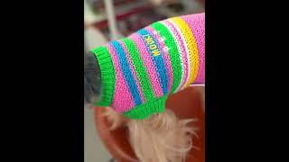 Rainbow Knit Dog Sweater Vest #puppy #pets #doglife #cute