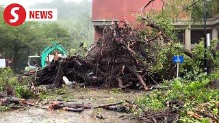 Typhoon Krathon's landfall leaves trail of heavy destruction