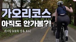 초보자도 안전하게 갈 수 있는 가오리 코스 라이딩 – 로드 라이딩 일상