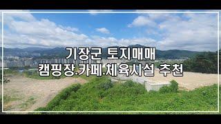 기장군 동부산 토지매매 카페.체육시설.풋살장.음식점.바베큐장.캠핑장 추천 전화문의 010-4010-4872