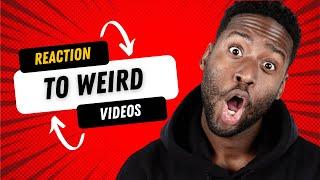 Reaction to viral Weird videos